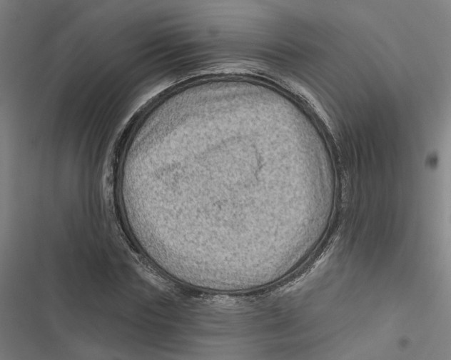 X0000116870827201001191721