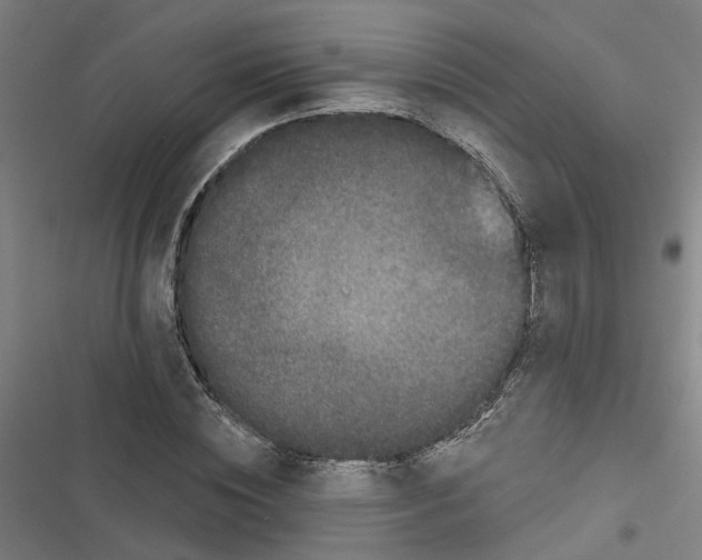 X0000116870828201001191721