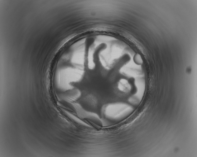 X0000116870829201001191721