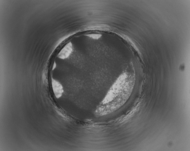 X0000116870830201001191721