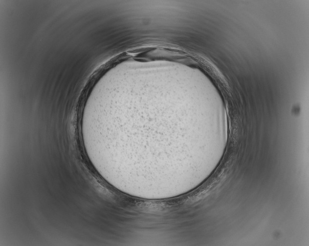 X0000116870831201001191721