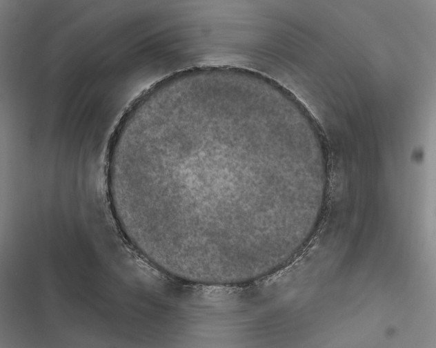 X0000116870832201001191721
