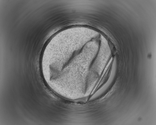 X0000116870834201001191721