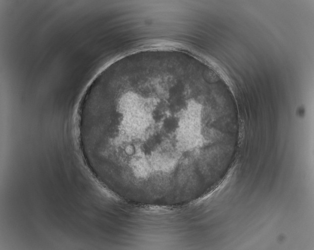 X0000116870835201001191721