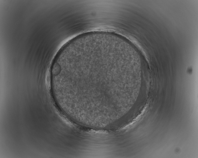 X0000116870838201001191721