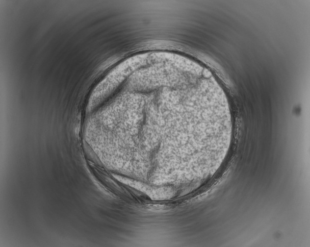 X0000116870841201001191721