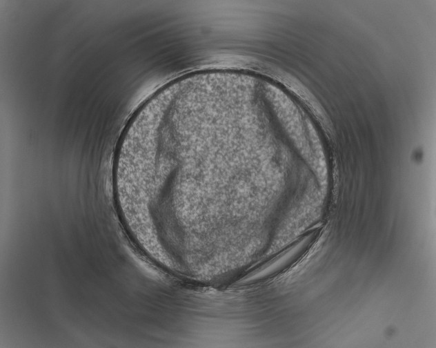 X0000116870842201001191721