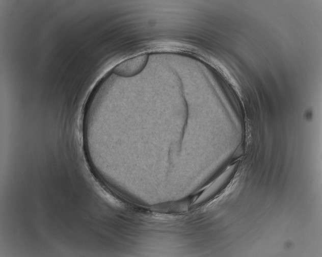X0000116870843201001191721