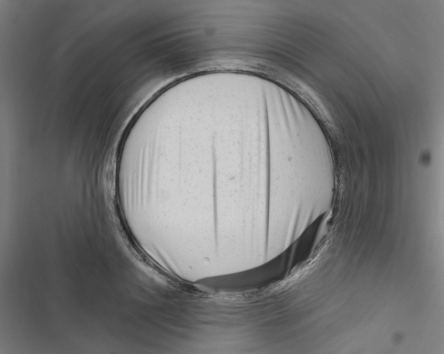 X0000116870844201001191721