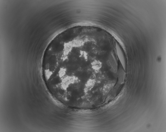 X0000116870845201001191721