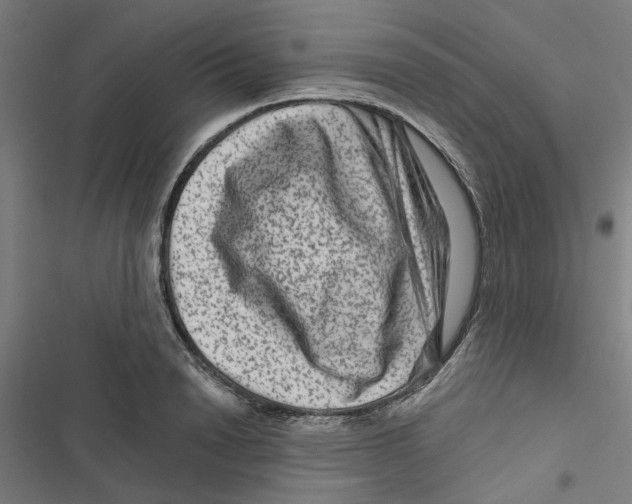 X0000116870846201001191721