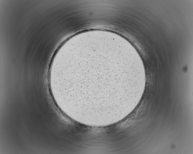 X0000116870848201001191721