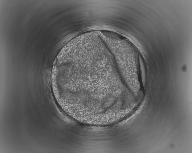 X0000116870849201001191721