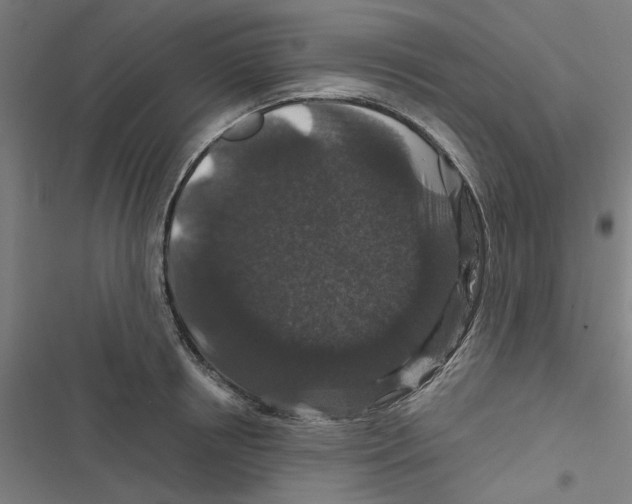X0000116870850201001191721