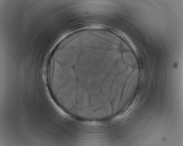 X0000116870851201001191721