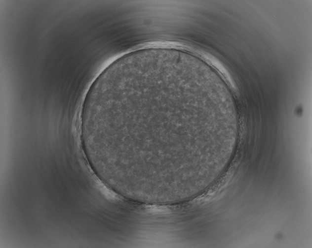 X0000116870852201001191721