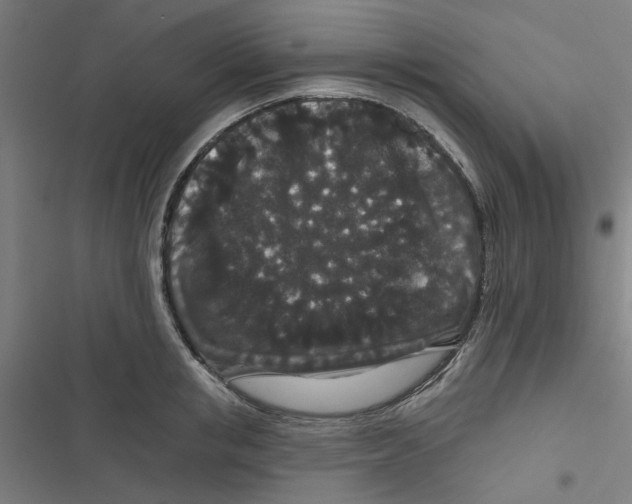 X0000116870853201001191721