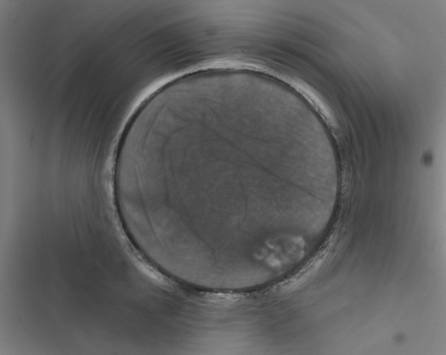 X0000116870854201001191721