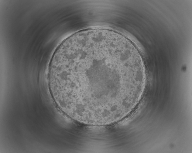X0000116870856201001191721