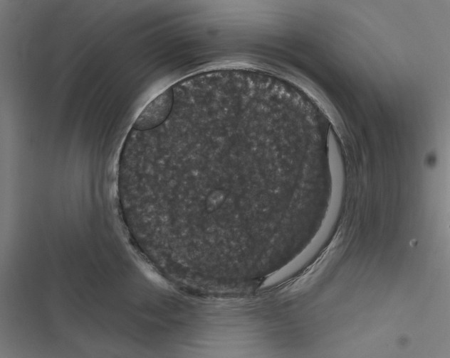 X0000116870858201001191721