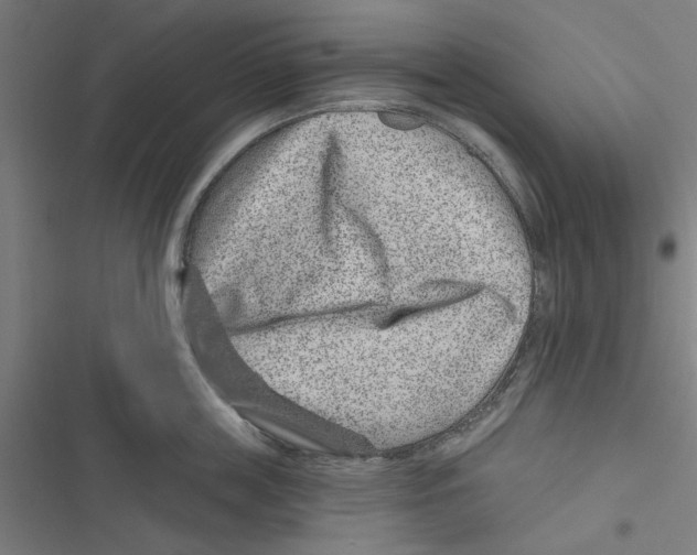 X0000116870859201001191721