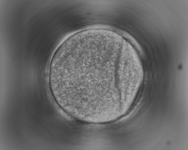 X0000116870860201001191721