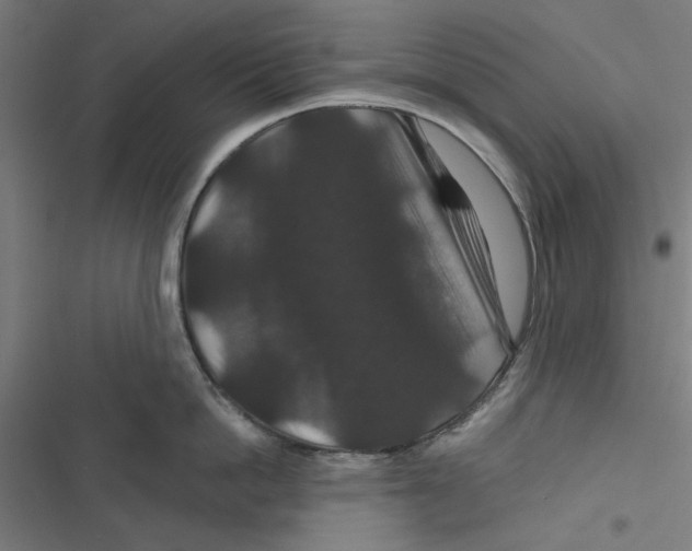 X0000116870862201001191721