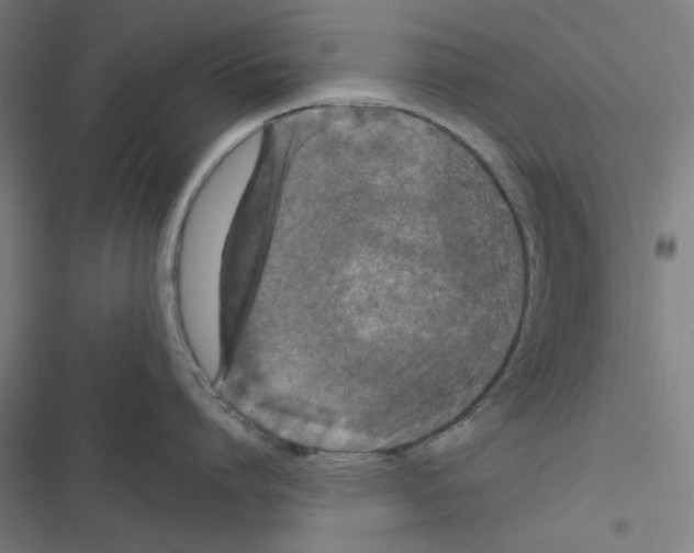 X0000116870864201001191721