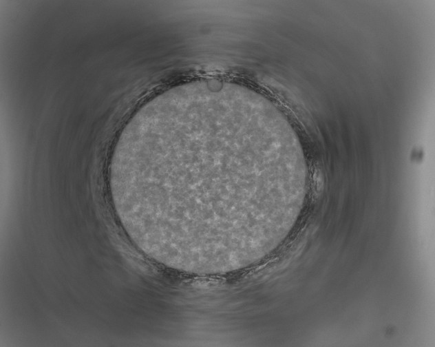 X0000116870865201001191720