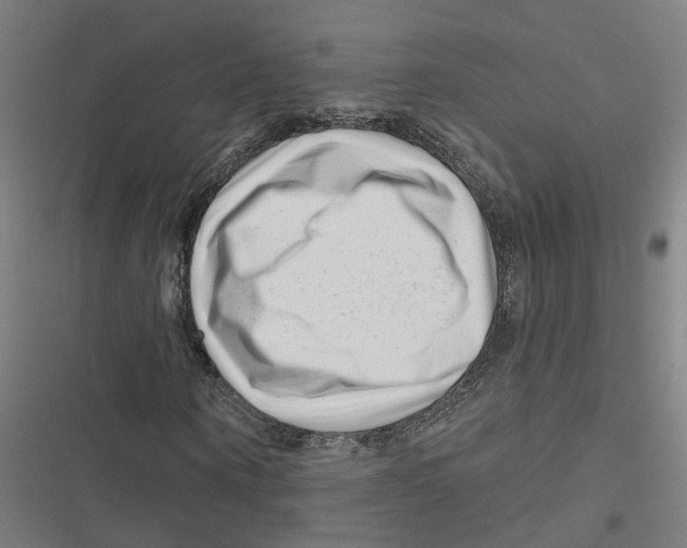 X0000116870866201001191720