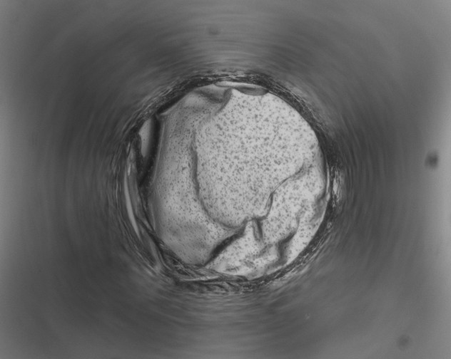 X0000116870867201001191720