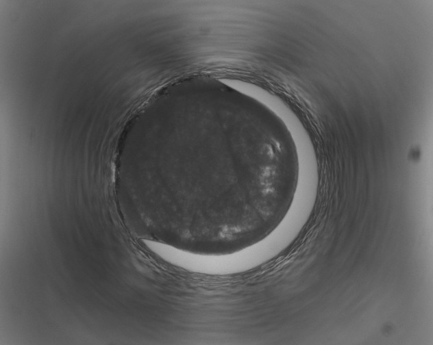 X0000116870868201001191720