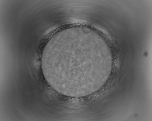 X0000116870869201001191720