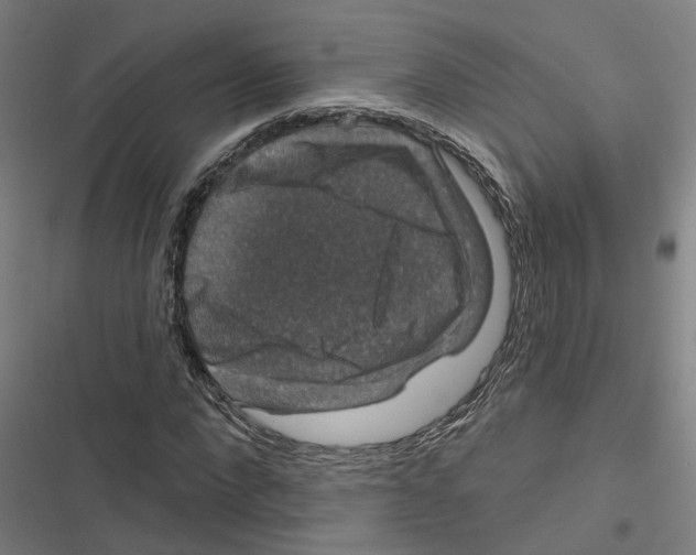 X0000116870872201001191720