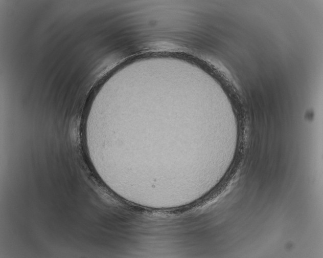 X0000116870873201001191720