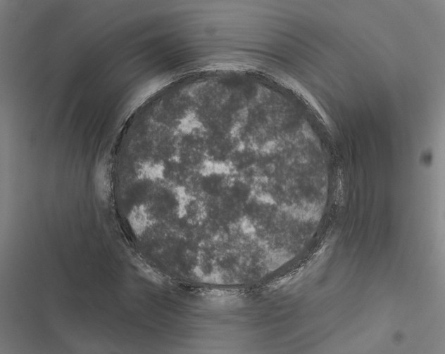X0000116870874201001191720