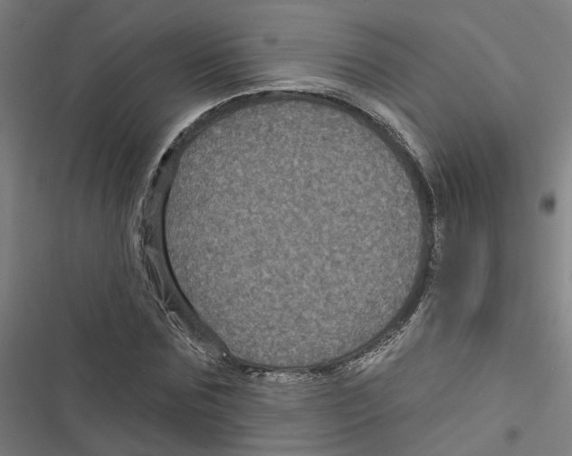 X0000116870875201001191720