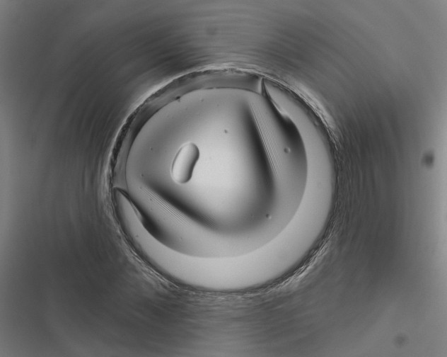 X0000116870876201001191720
