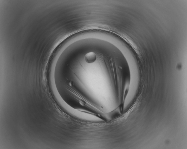 X0000116870877201001191720