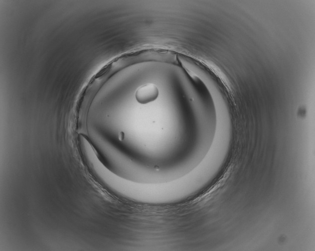 X0000116870878201001191720