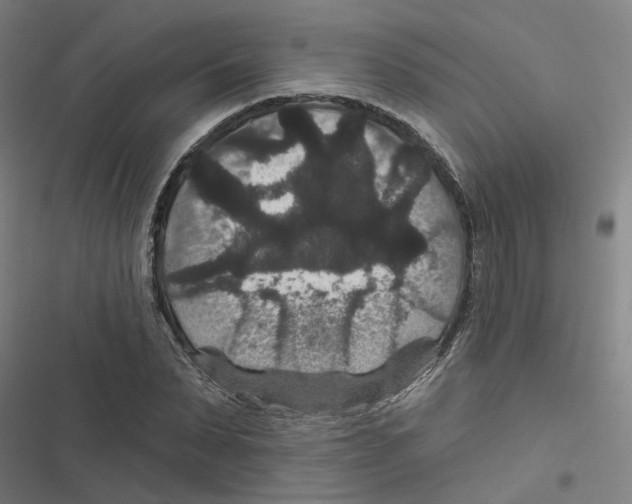 X0000116870879201001191720