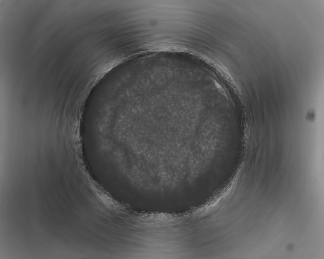 X0000116870881201001191720