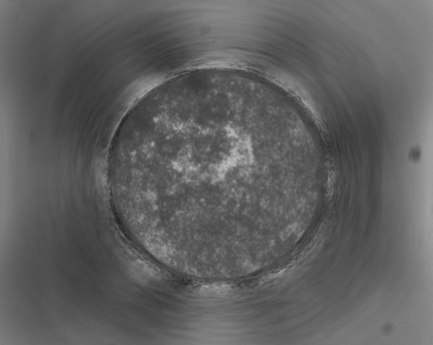 X0000116870882201001191720