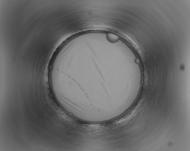 X0000116870883201001191720