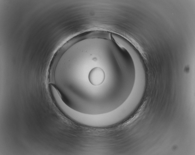 X0000116870885201001191720