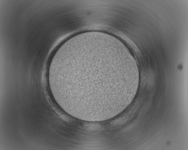X0000116870886201001191720
