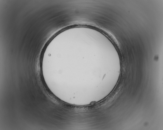 X0000116870887201001191720