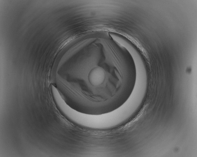 X0000116870889201001191720