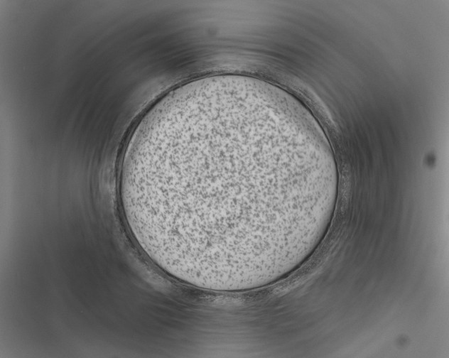 X0000116870890201001191720