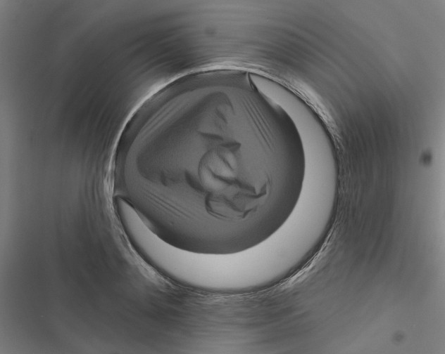 X0000116870892201001191720